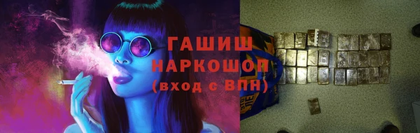 шишки Магас
