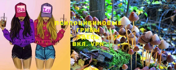 spice Армянск